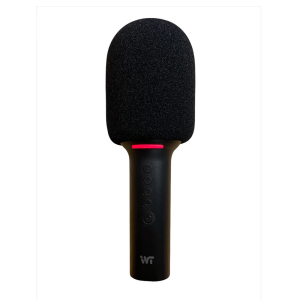MICROFONO CON PARLANTE BT SUONOKARAOKE 299